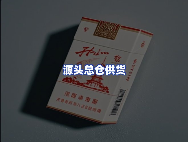 专业团队